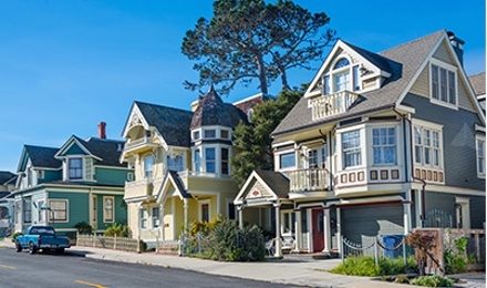 Residential Pest Control