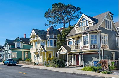 Residential Pest Control